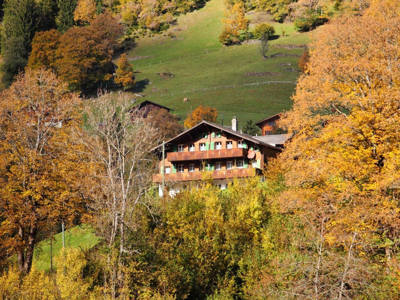 Apartment Chalet Auf Dem Vogelstein-1 By Interhome Grindelwald Exterior photo